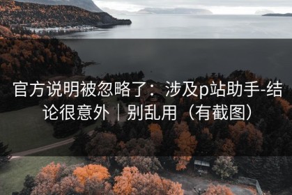 官方说明被忽略了：涉及p站助手-结论很意外｜别乱用（有截图）