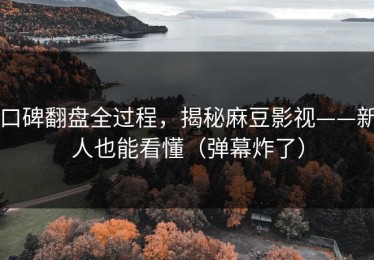 口碑翻盘全过程，揭秘麻豆影视——新人也能看懂（弹幕炸了）