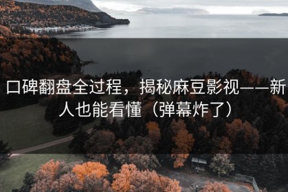 口碑翻盘全过程，揭秘麻豆影视——新人也能看懂（弹幕炸了）