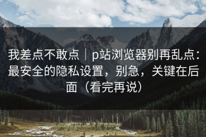 我差点不敢点｜p站浏览器别再乱点：最安全的隐私设置，别急，关键在后面（看完再说）