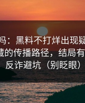 你敢信吗：黑料不打烊出现疑点｜最值得收藏的传播路径，结局有点反转｜反诈避坑（别眨眼）