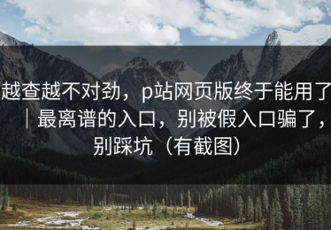 越查越不对劲，p站网页版终于能用了｜最离谱的入口，别被假入口骗了，别踩坑（有截图）