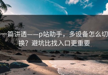一篇讲透——p站助手，多设备怎么切换？避坑比找入口更重要