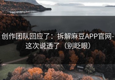 创作团队回应了：拆解麻豆APP官网-这次说透了（别眨眼）