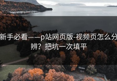 新手必看——p站网页版-视频页怎么分辨？把坑一次填平