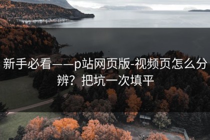 新手必看——p站网页版-视频页怎么分辨？把坑一次填平