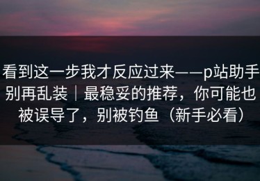 看到这一步我才反应过来——p站助手别再乱装｜最稳妥的推荐，你可能也被误导了，别被钓鱼（新手必看）