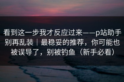 看到这一步我才反应过来——p站助手别再乱装｜最稳妥的推荐，你可能也被误导了，别被钓鱼（新手必看）