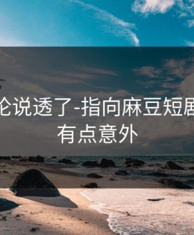 高赞评论说透了-指向麻豆短剧｜结论有点意外