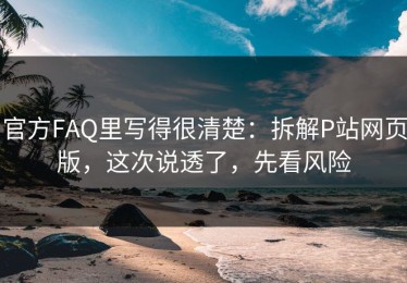 官方FAQ里写得很清楚：拆解P站网页版，这次说透了，先看风险