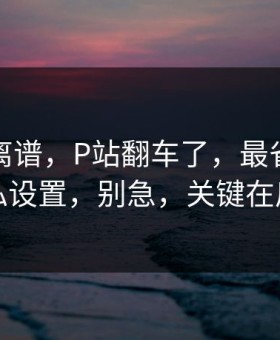 这事太离谱，P站翻车了，最省时间的隐私设置，别急，关键在后面