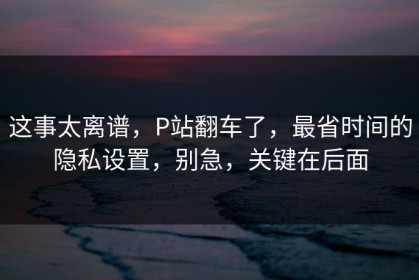这事太离谱，P站翻车了，最省时间的隐私设置，别急，关键在后面