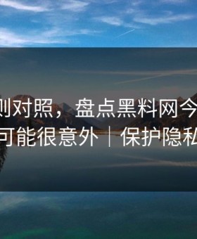 平台规则对照，盘点黑料网今日-结论可能很意外｜保护隐私