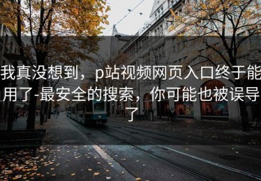 我真没想到，p站视频网页入口终于能用了-最安全的搜索，你可能也被误导了