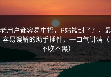 老用户都容易中招，P站被封了？，最容易误解的助手插件，一口气讲清（不吹不黑）