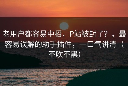老用户都容易中招，P站被封了？，最容易误解的助手插件，一口气讲清（不吹不黑）