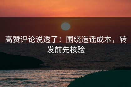 高赞评论说透了：围绕造谣成本，转发前先核验