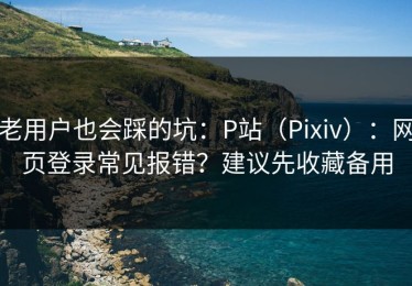 老用户也会踩的坑：P站（Pixiv）：网页登录常见报错？建议先收藏备用