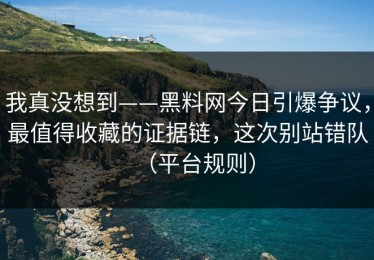 我真没想到——黑料网今日引爆争议，最值得收藏的证据链，这次别站错队（平台规则）