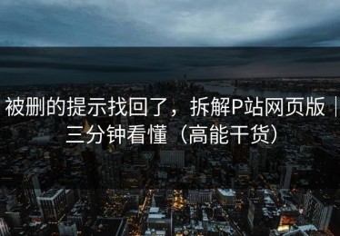 被删的提示找回了，拆解P站网页版｜三分钟看懂（高能干货）