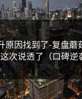 数据飙升原因找到了-复盘蘑菇影视——这次说透了（口碑逆袭）