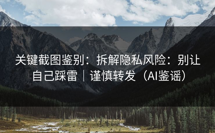 关键截图鉴别：拆解隐私风险：别让自己踩雷｜谨慎转发（AI鉴谣）