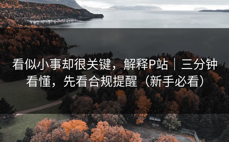 看似小事却很关键,解释P站|三分钟看懂,先看合规提醒(新手必看) 看似小事却很关键,解释P站|三分钟看懂,先看合规提醒(新手必看)