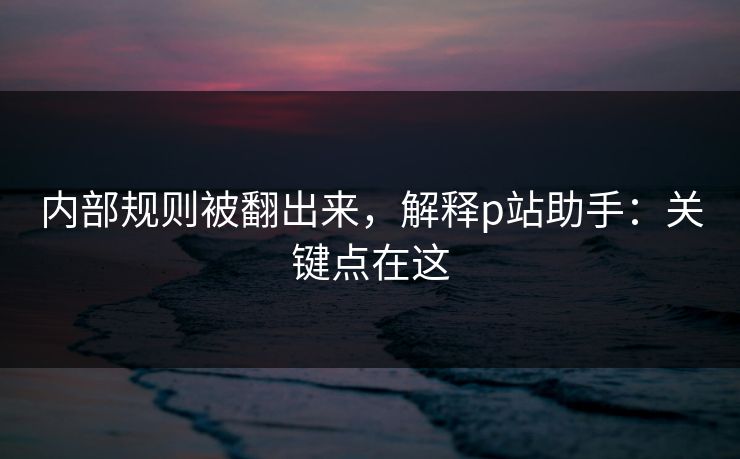 内部规则被翻出来,解释p站助手:关键点在这 内部规则被翻出来,解释p站助手:关键点在这