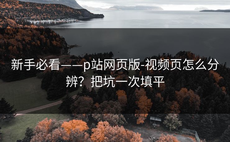 新手必看——p站网页版-视频页怎么分辨?把坑一次填平 新手必看——p站网页版-视频页怎么分辨?把坑一次填平