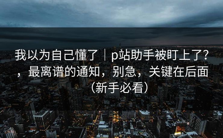 我以为自己懂了|p站助手被盯上了?,最离谱的通知,别急,关键在后面(新手必看) 我以为自己懂了|p站助手被盯上了?,最离谱的通知,别急,关键在后面(新手必看)
