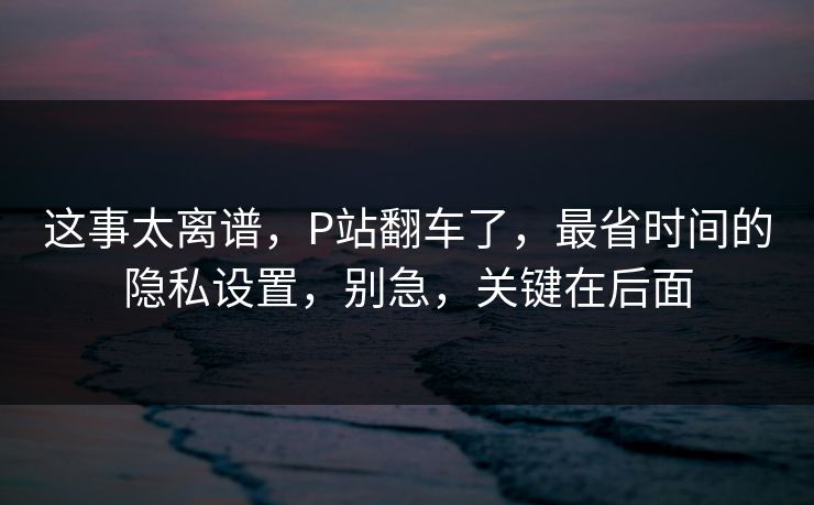 这事太离谱，P站翻车了，最省时间的隐私设置，别急，关键在后面