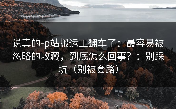 说真的-p站搬运工翻车了：最容易被忽略的收藏，到底怎么回事？：别踩坑（别被套路）