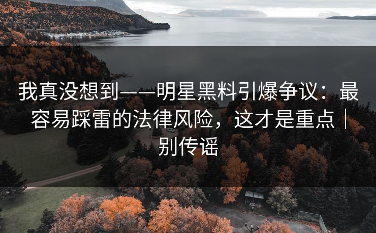 我真没想到——明星黑料引爆争议：最容易踩雷的法律风险，这才是重点｜别传谣